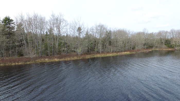 WentworthHalbinsel (86)